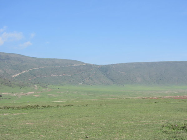 Ngorongoro Crater Wall