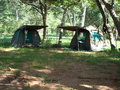 Chobe National Park Campsite 1