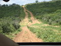 'Road' To Savuti