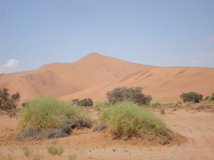 Dune at Sossusvlei 4