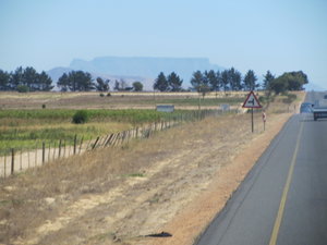 First Sight of Table Mountain