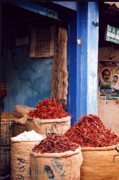 Spices in Cochin