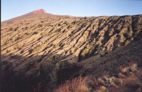 Rinjani summit from top camp