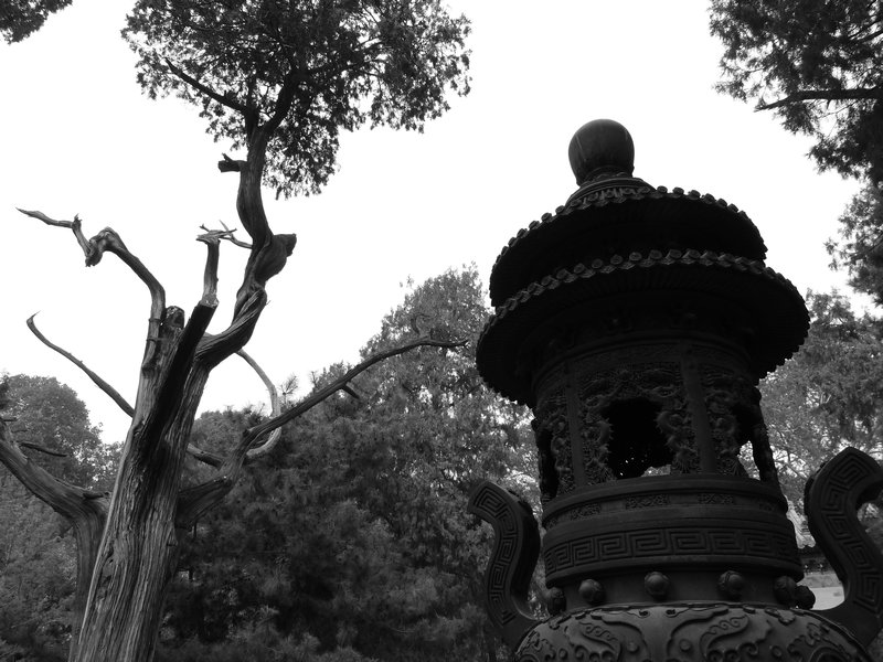 Forbidden City Garden 2