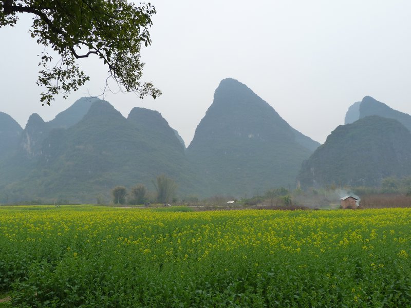 Yangshuo Countryside (2)