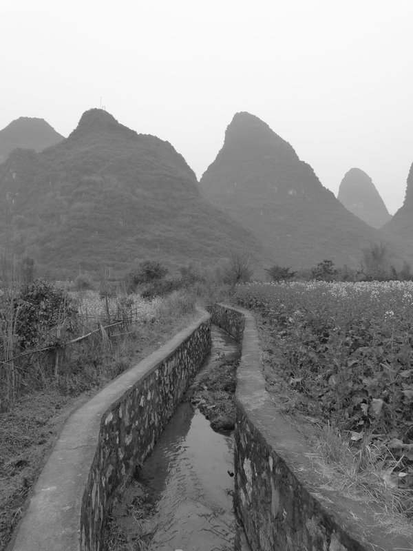 Yangshuo Countryside (5)