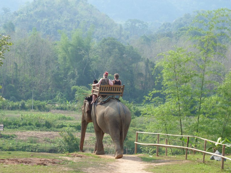 Elephant Riding (7)