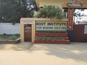 Root Institute