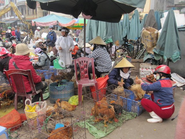 Fish Market Dong Hoi