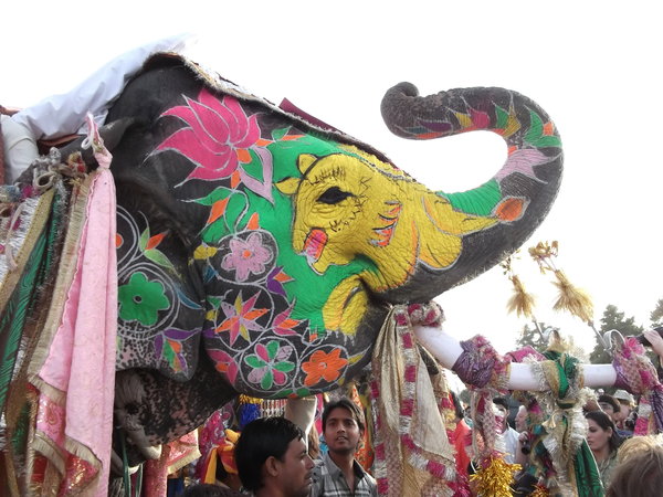 Elephant Festival- Jaipur