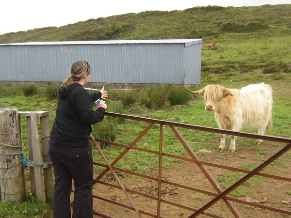 Success! Jane found a hairy coo