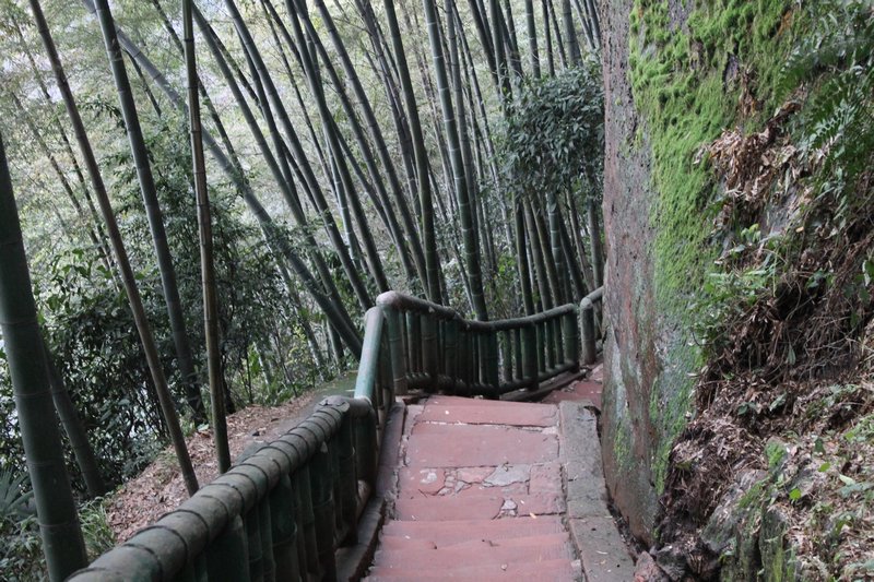 Bamboo railing