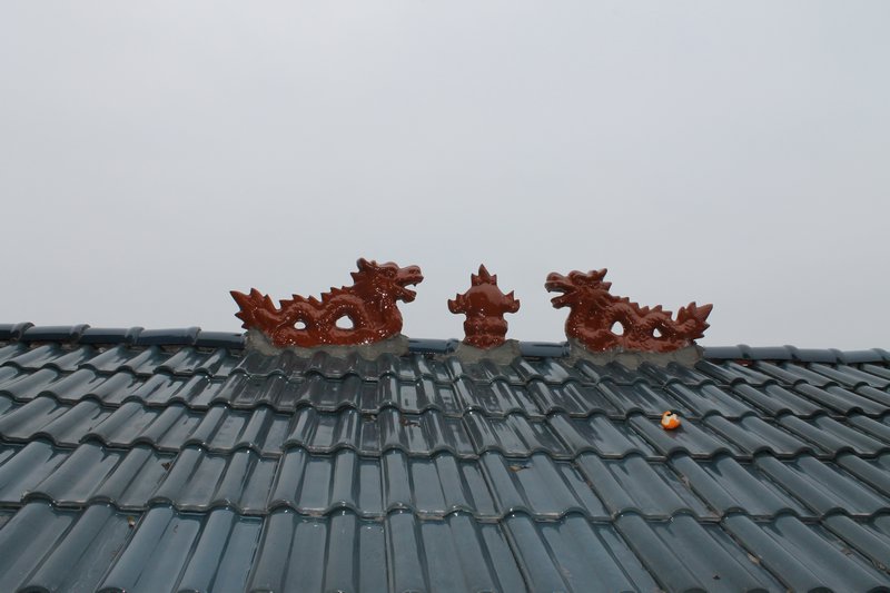 Rooftop dragon 