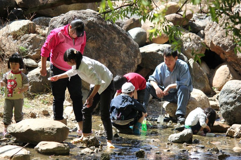 Family playing in the stream