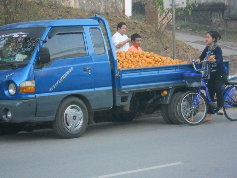 oranges for sale in luang prabang