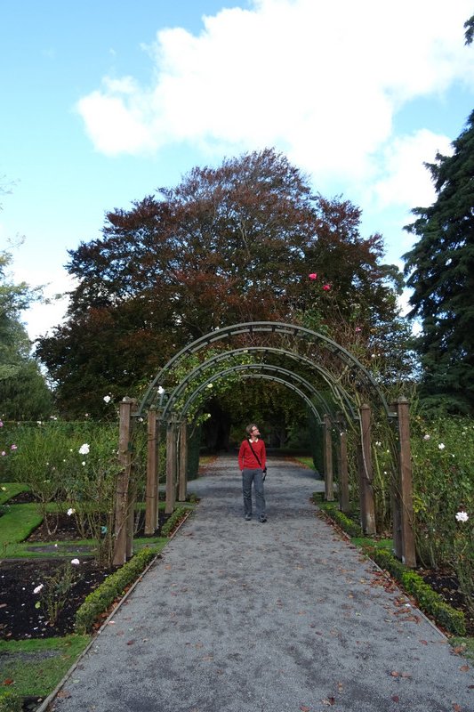 50 Botanische tuin Christchurch