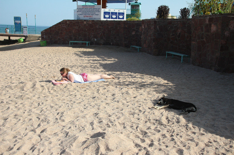 Op het strand met de hond