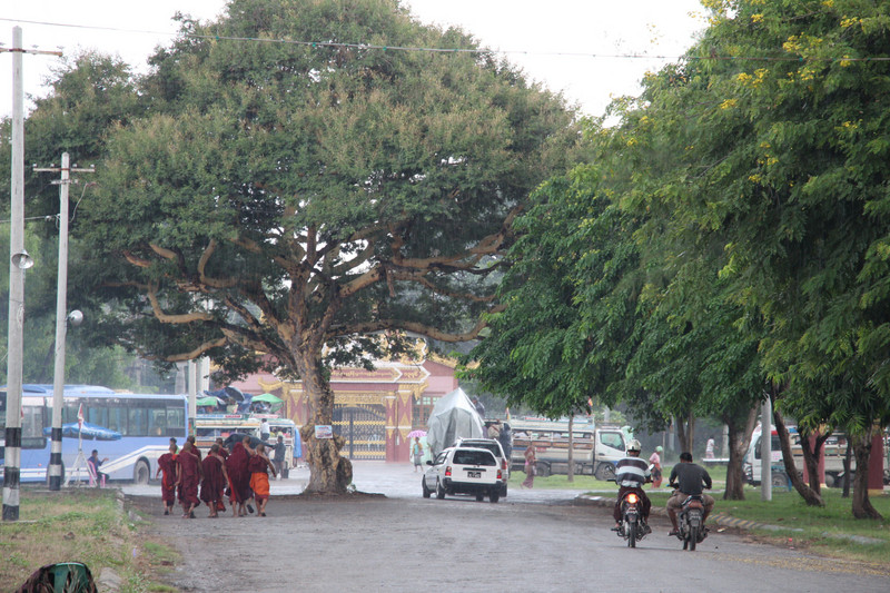 Groep monniken na de regen