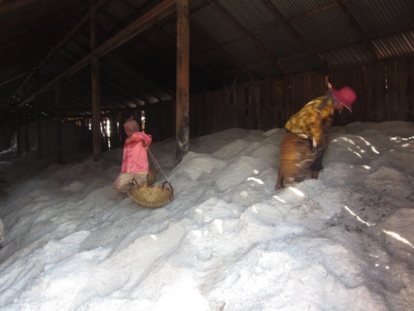 The Salt Workers