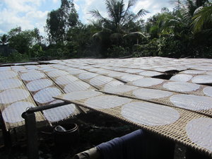 Rice Paper drying in the Sun