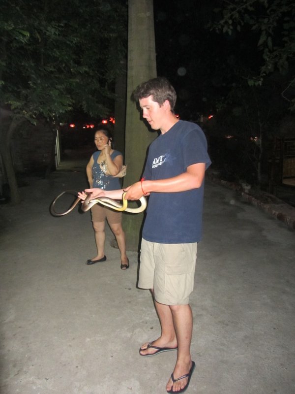 Tim & The Snake