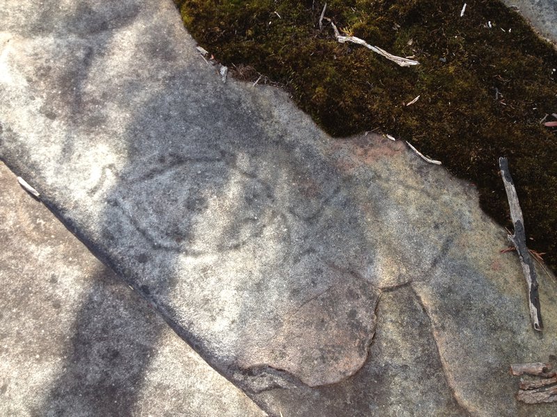 Aboriginal Rock Carvings