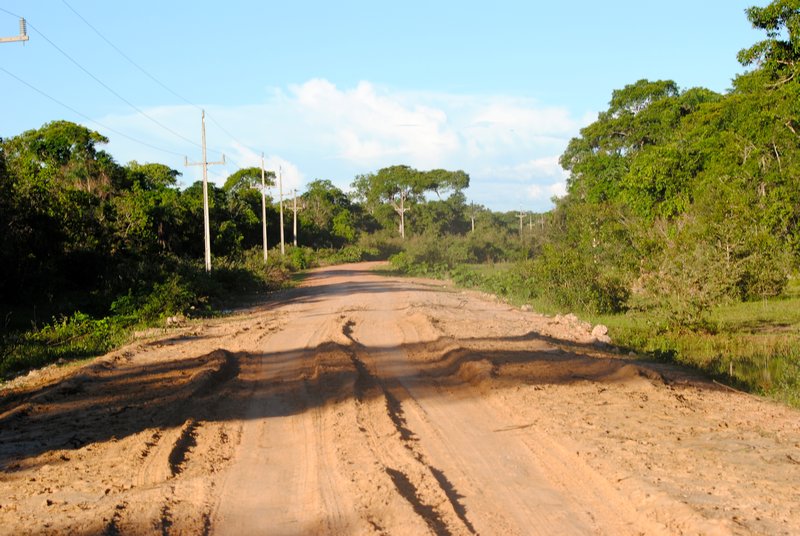 Muddy road