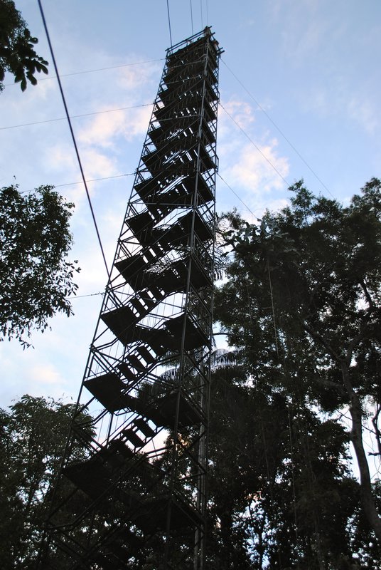Canopy tower