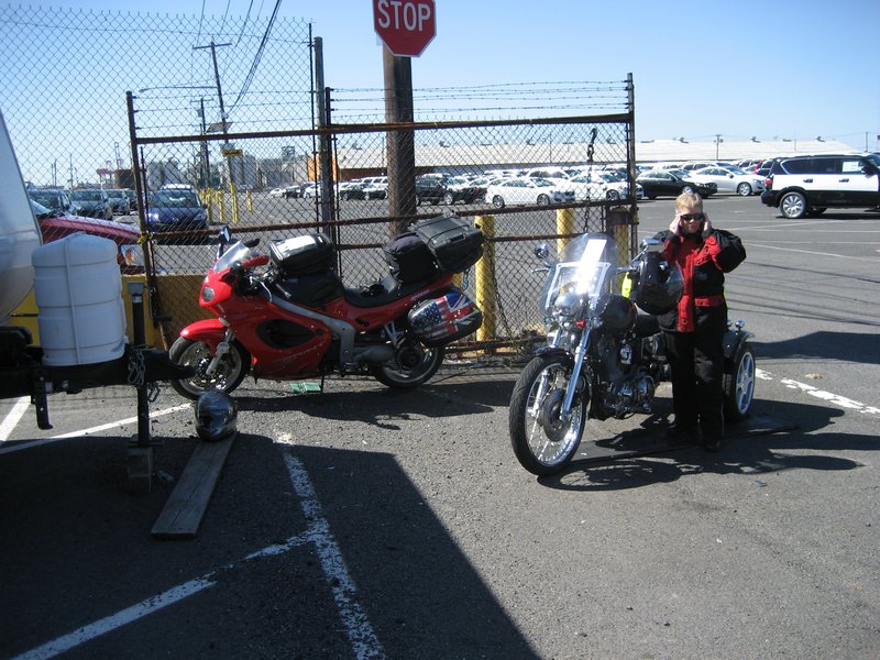 Bikes at the docks
