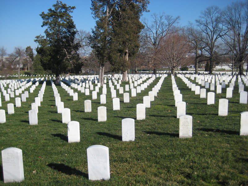 Rows of graves