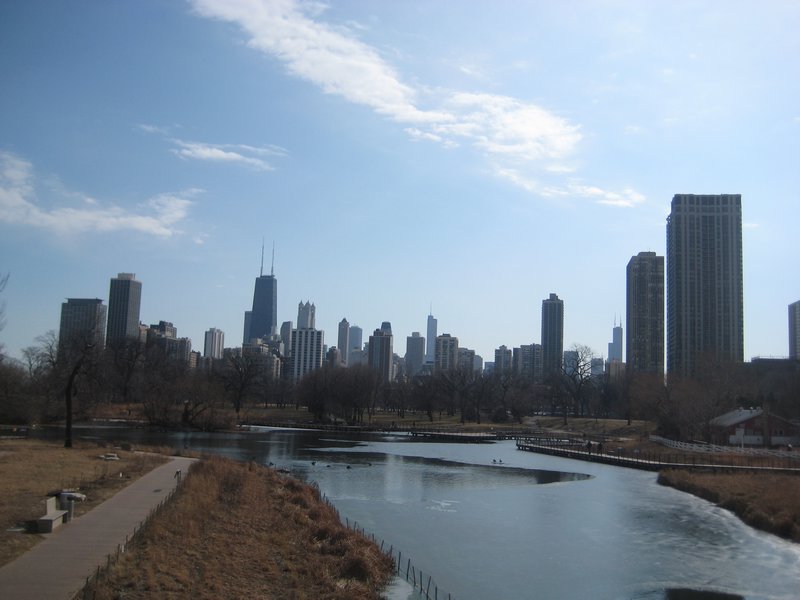 Chicago Skyline from Lincoln Park Zoo