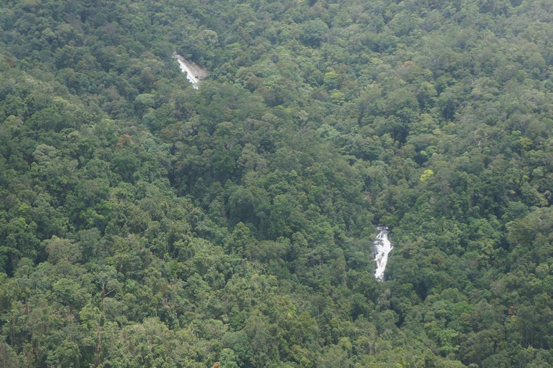 Rainforest Falls