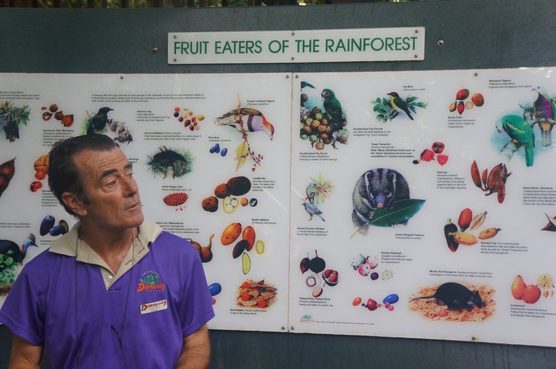 Chris - Fruit Eater of the Rain Forest