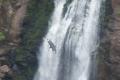 Vulture and Waterfall