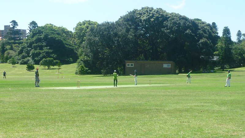 Krikettiä puistossa