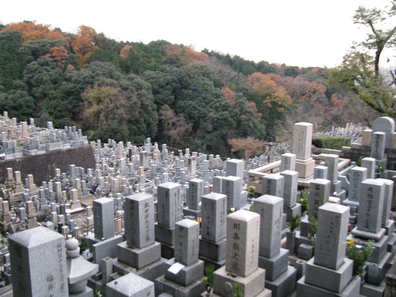 Huge graveyard