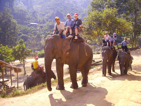 Riding an elephant on Christmas Day with our santa hats on in the boiling heat
