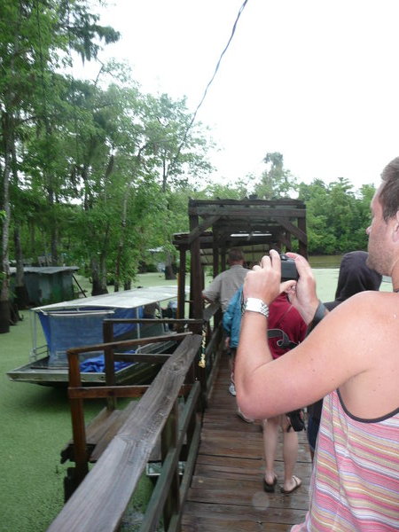 Swamp tour in Louisiana.