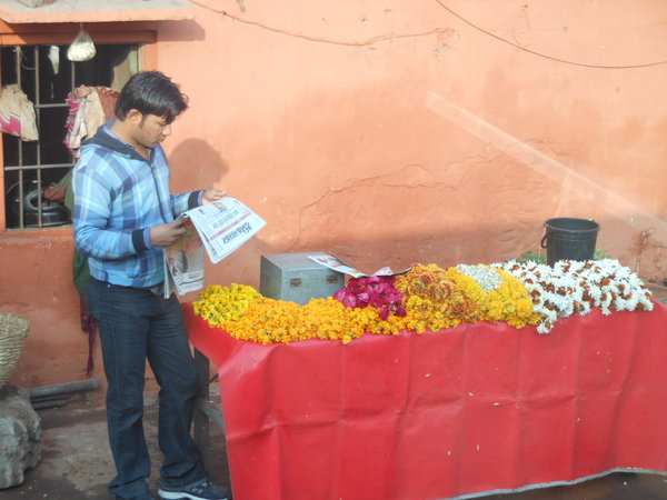 Flower Salesman