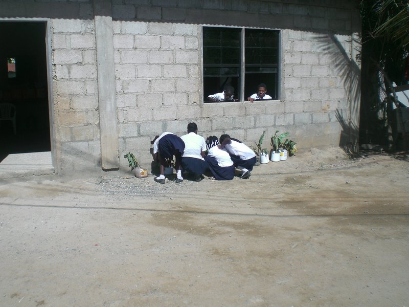 School in Punta Gorda