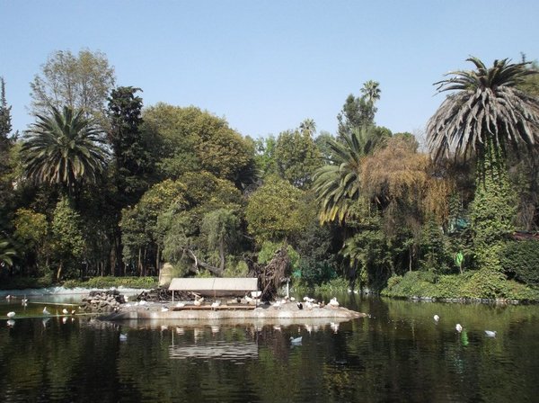 Lovely Park in Mexico City