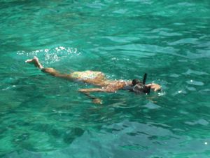 Rosara snorkelling