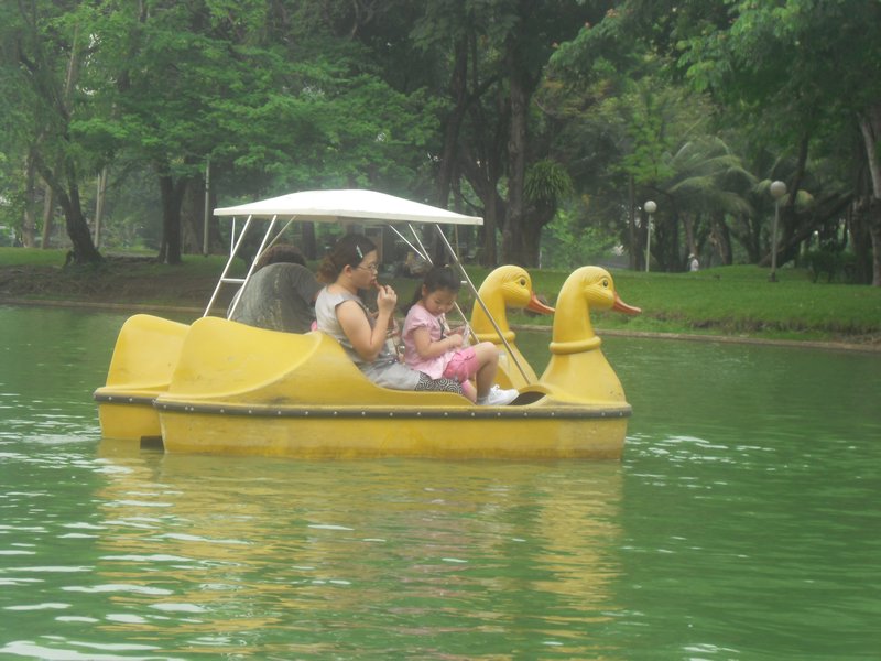 Duck Boat