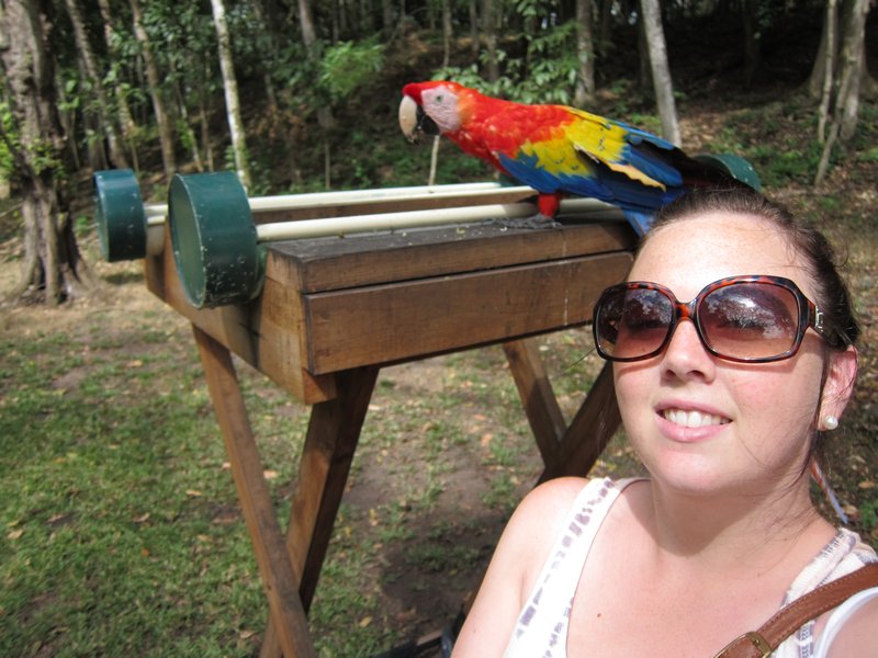 Me and my macaw friend!