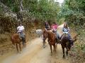 Riding horses in the Jungle