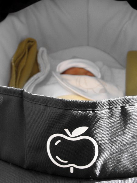 Cian - The Apple of Our I