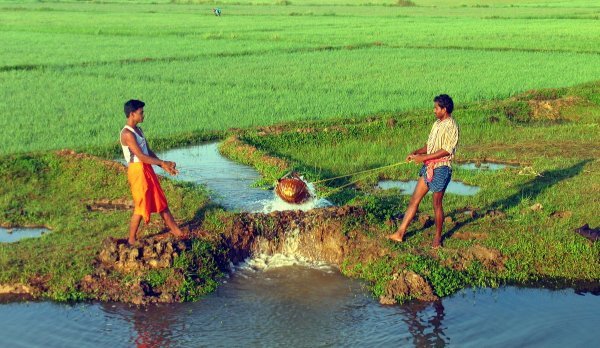 Orissa Country Irrigation 2