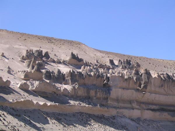 Tree-like rock formation
