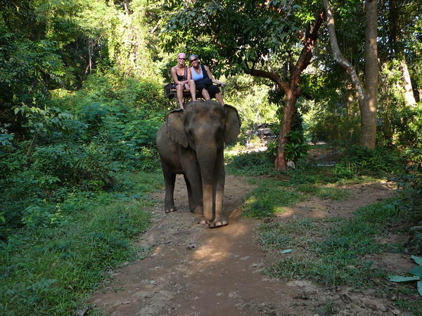 Elephant ride #2...ash likes his ears