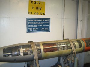 Dissected Torpedo